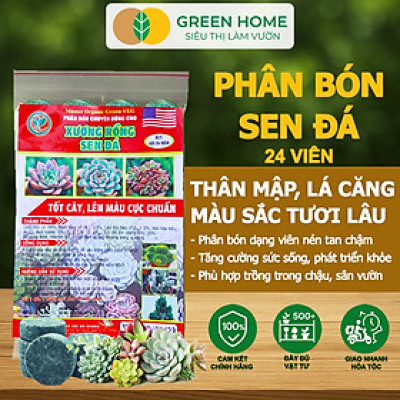Phân Bón Sen Đá Greenhome, Gói 24 Viên, Kích Rễ, Lên Màu Chuẩn, Dùng Cho Cây Mọng Nước, Xương Rồng