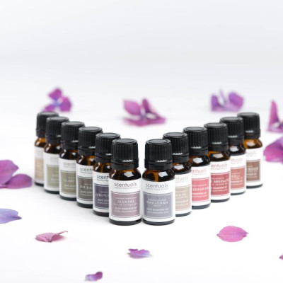 Tinh Dầu Kinh Giới Ngọt 10ml