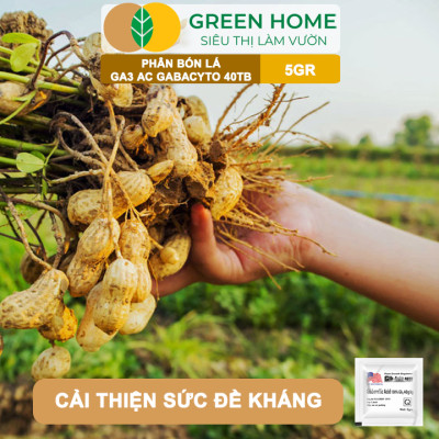 Phân Bón Lá GA3 Greenhome, 40TB, Viên 5gr, Dạng Sủi Tiết Kiệm, Thúc Đẩy Ra Đọt, Bông Lớn, Trái To