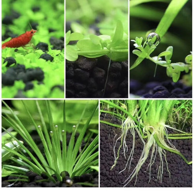 Sứ Lọc Bể Cá túi 1KG + Phân nền SMEKONG 2KG trồng cây thủy sinh hồ cá