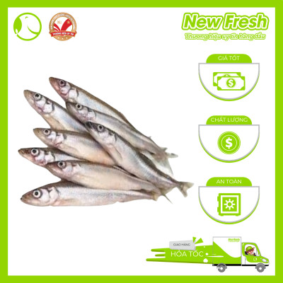 Cá Trứng Nauy - Khay 500Gr 