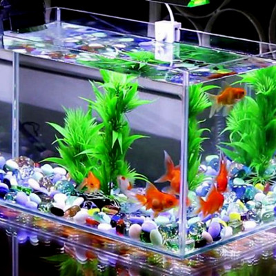 Bột Vitamin C TN 50Gr cho tôm cua cá, hải sản, ếch rùa, lươn, cá sấu ... tăng sức đề kháng khi thời tiết thay đổi, môi trường sống mới...