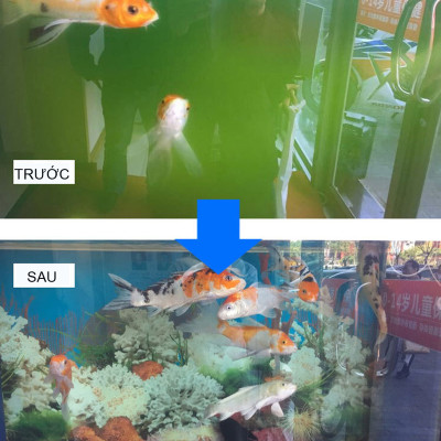 Đèn UV 30W AQUA SUV+ Diệt Khuẩn, Rêu Tảo Hồ Cá Koi , Xử Lý Nước Thải, Nước Sinh Hoạt Trong 7 Ngày