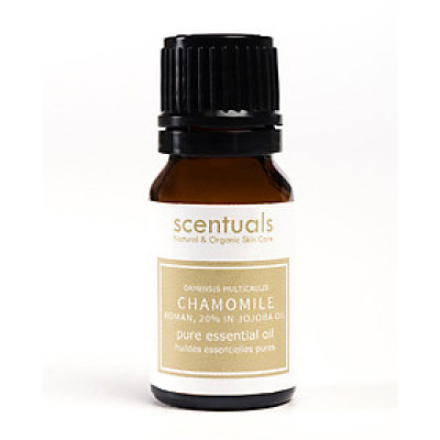 Tinh dầu hoa cúc 20% dầu jojoba - Pure essential oil 10 ml - CHAMOMILE 20% IN JOJOBA OIL