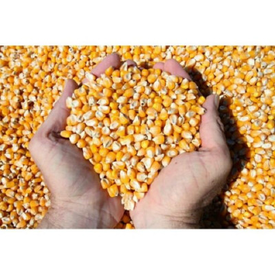 Bắp Nổ Mỹ Viettin Mart 500g