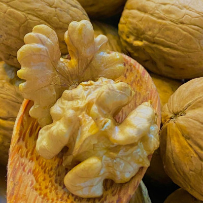 Hạt Óc Chó Vàng Tách Vỏ Mỹ / 500gr - HOLINUT
