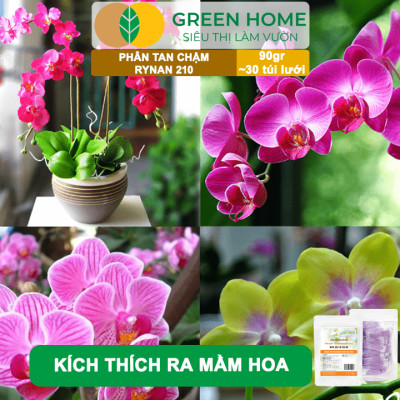 Phân Tan Chậm GreenHome, Rynan 210, Bao 90g ~ 30 Túi Lưới 3g, Chuyên Dùng Cho Phong Lan Trưởng Thành