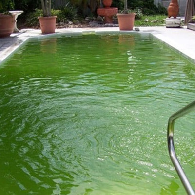 Đèn UV 55W AQUA SUV+ Diệt Khuẩn, Rêu Tảo Hồ Cá Koi , Xử Lý Nước Thải, Nước Sinh Hoạt Trong 7 Ngày