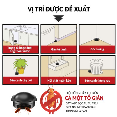 [Hàng chính hãng] Hộp thuốc diệt gián 12 viên Nhật Bản mẫu mới nhất năm 2023