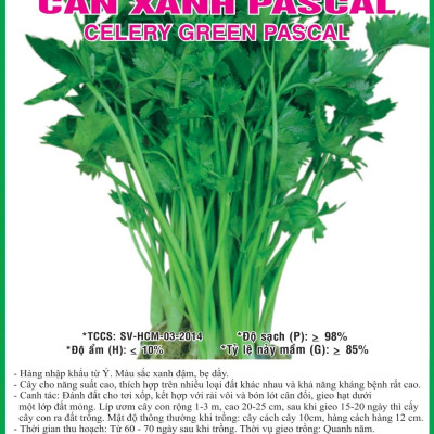 Hạt giống rau cần cọng xanh Pascal - cần tây VTP82