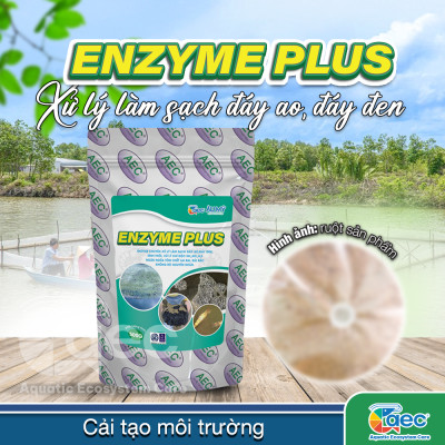 Chế phẩm vi sinh Enzyme Plus – hỗ trợ xử lý bùn đáy ao đáy đen nuôi tôm