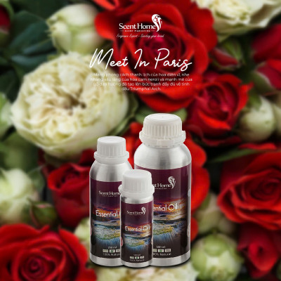 Tinh dầu Scent Homes - mùi hương (Meet In Paris)