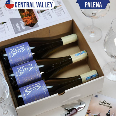  Vang Trắng Chile PALENA RESERVA ESPECIAL CHARDONNAY