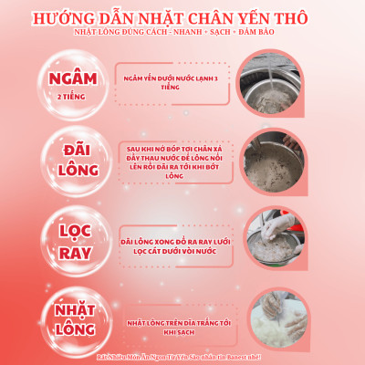 Chân Tổ Yến Sào Thô Ít Lông Trắng Sạch loại 1 TẶNG đủ Combo chưng- Yến Sào BaNest