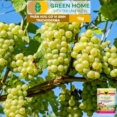 Phân Bón Hữu Cơ Trichoderma Greenhome, Đầu Trâu, Bao 1kg, Dạng Viên,Chuyên Hoa và Cây Cảnh
