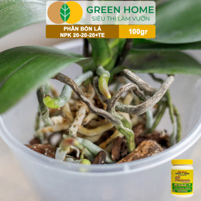Phân Bón Lá Grow More NPK 20-20-20, GreenHome, Chai 100GR, To Củ, Lớn Trái, Chắc Hạt