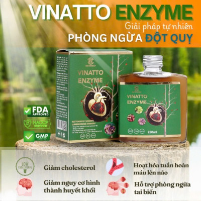 Nước uống Vinatto Enzyme - Bảo vệ sức khỏe tim mạch, giảm cholesterol - Hộp 250ml