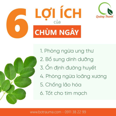 Bột Chùm Ngây Sấy Lạnh Nguyên Chất Hộp 30g - Bột dinh dưỡng ăn dặm cho bé, tăng cường sức khỏe