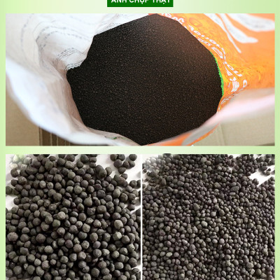 Sứ Lọc Bể Cá túi 1KG + Phân nền SMEKONG 2KG trồng cây thủy sinh hồ cá