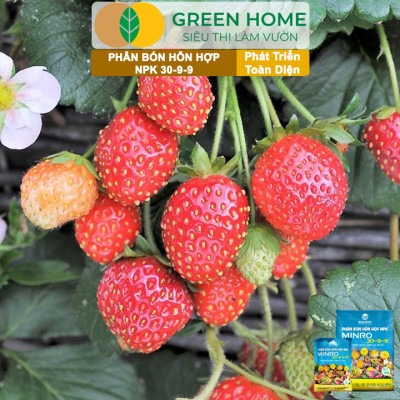 Phân NPK 30-9-9 +TE Greenhome, Minro, Bao 200gr, Phát Triển Nhanh Thân, Cành, Lá, Bộ Rễ Trên Kiểng, Cây Ăn Trái, Củ, Quả