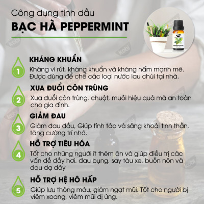 Combo Tinh Dầu Bạc Hà Kobi (30ml) + Tinh Dầu Bưởi Hồng Kobi (30ml) Nguyên Chất Giúp Đuổi Muỗi, Xông Phòng, Chăm Sóc Tóc Hiệu Quả