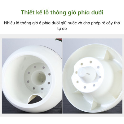 Chậu tự tưới MONROVIA I0 dành cho hoa, cây cảnh, trang trí nhà cửa, văn phòng