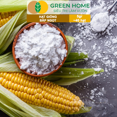 Hạt Giống Bắp Ngọt, Greenhome, Gói 5GR~40 hạt, Dễ Trồng Quanh Năm, Nảy Mầm Cao, T29