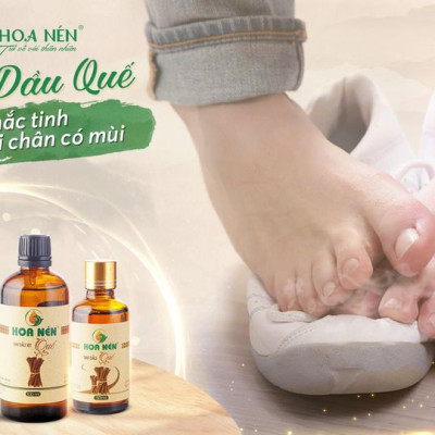 Tinh dầu Quế nguyên chất 50ml - Hoa Nén - Vegan - Đuổi côn trùng, khử mùi